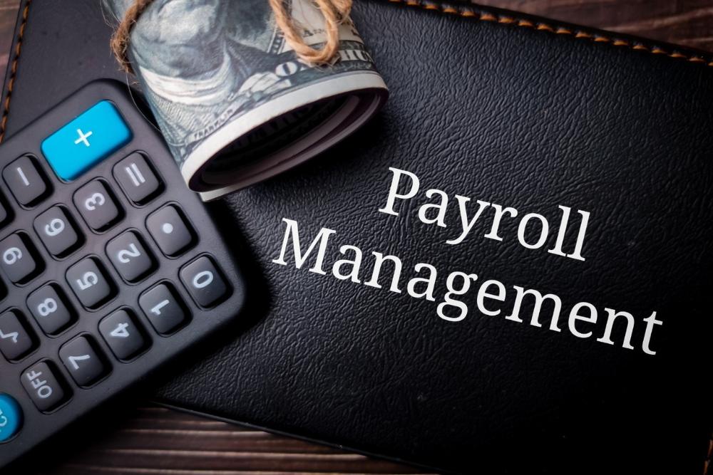 Payroll Management Explained What It Is and How It Works